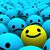 Shelly Berndt's profile image