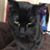 April Reed Clark's profile image