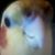 Debra Silva's profile image