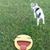 Nidia Cruz's profile image