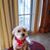 Bobbi Baumann's profile image