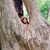 Kristin Koenig Knifton's profile image