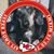 Johnny Croney II's profile image