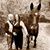 Gwennie Essman's profile image