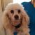 Sharon Brentlinger's profile image