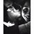 Silvia De Reza's profile image