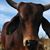 Kitty Middick Burks's profile image