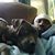 Kwame Riskie Givens's profile image