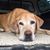 Stacy Durbin Fleming's profile image