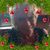 Marilyn J. Cook's profile image