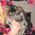 Cheryl J. Andersen's profile image