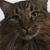 Andrew Schebel's profile image