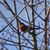 MaryAnn Koerner's profile image