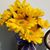 Glirsa Veliz's profile image