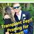 Amy Neal Arnold's profile image
