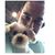 Marty Albo's profile image