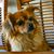 William Kinirons's profile image