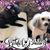Darlene Norris's profile image