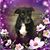 Mariann Hess-Jones's profile image