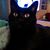 Pat Huey Henkin's profile image