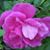 Mary Jacobs's profile image