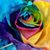Eileen Cooney's profile image