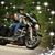 Tracie Nauta Witteveen's profile image