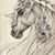 Linda Carol Reeves's profile image