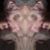 Dan Grodzian's profile image