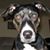 Candie Stanley's profile image