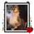 Ruth Dewald Prisaznick's profile image