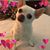 Cara Hayes's profile image
