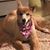 Sue Ingram's profile image