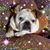Virgil-Maureen Wilson's profile image
