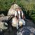 Jim Billings's profile image