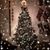 Jennifer Burton Mulholland's profile image