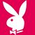 Bernard Sequeira's profile image