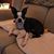 Lynda Fullem's profile image