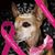 Lori Novotni's profile image