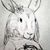 Deb Andrecht's profile image