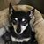 Cindy Thele's profile image