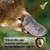 E Platypus Newman's profile image