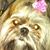 Emily Eyster's profile image