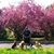 Elisa Winsor's profile image