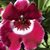 Ann Jaltuch's profile image