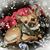 Keyla Cramer's profile image