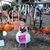 Kelly Conklin's profile image