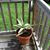 Kathy Angle Stephens's profile image