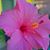 Zayvision Andbeyond's profile image