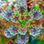 Cindy Cuthbertson's profile image